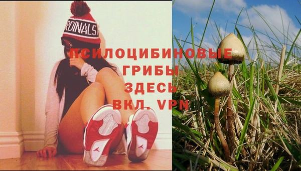 бошки Карпинск