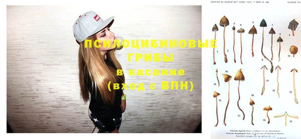 бошки Карпинск